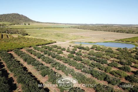 Property photo of 446 Chewko Road Mareeba QLD 4880