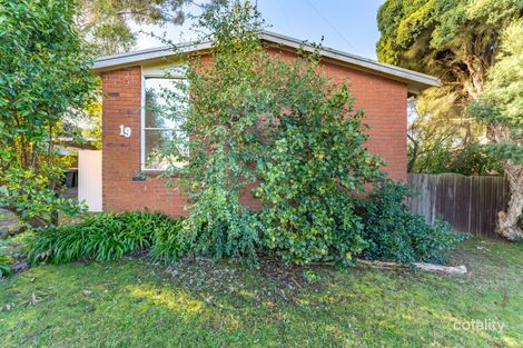 Property photo of 19 Mansfield Avenue Mount Clear VIC 3350