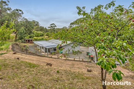 31 Braniffs Rd, Jeeralang Junction, VIC 3840