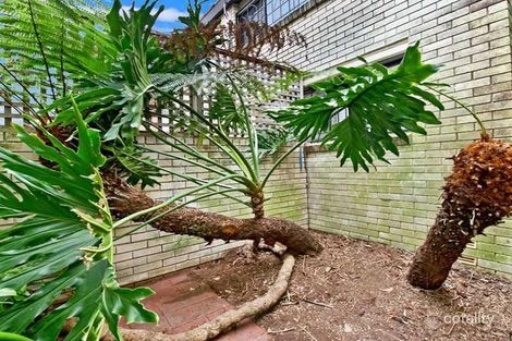 Property photo of 4/1 Darvall Street Centennial Park NSW 2021