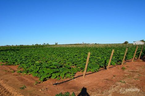 170 South River Rd, South Plantations, WA 6701