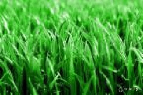 Property photo of 10 Rubie Court Westbrook QLD 4350