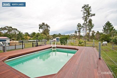 Property photo of 116 Thornbill Drive Upper Caboolture QLD 4510