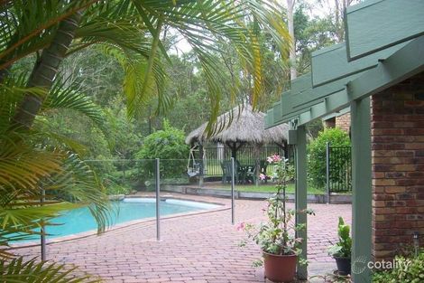 Property photo of 53 Mazzard Street Bellbowrie QLD 4070