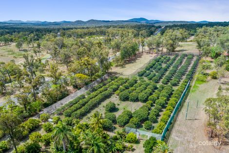 2184 Yeppoon Rd, Bondoola, QLD 4703