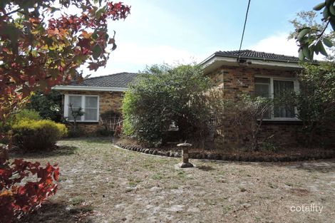 59 Pascoe St, Glen Iris, VIC 3146