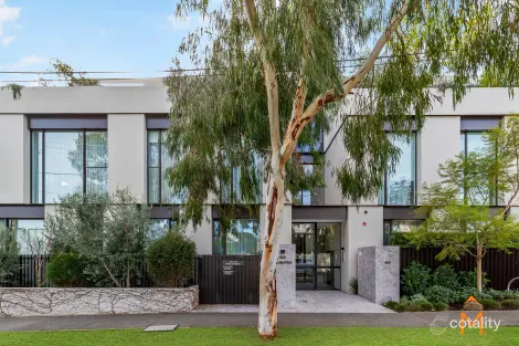 201/41a Black St, Brighton, VIC 3186