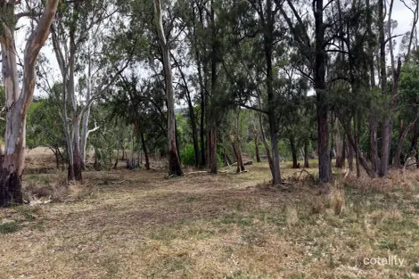 Property photo of 1213 Mole River Road Mole River NSW 2372