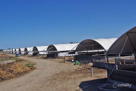 137 Trickeys Lane, Barmah, VIC 3639