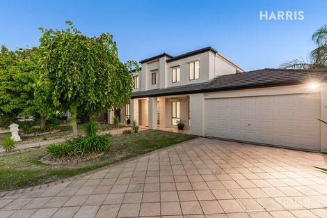Property photo of 6 Alexander Court Novar Gardens SA 5040
