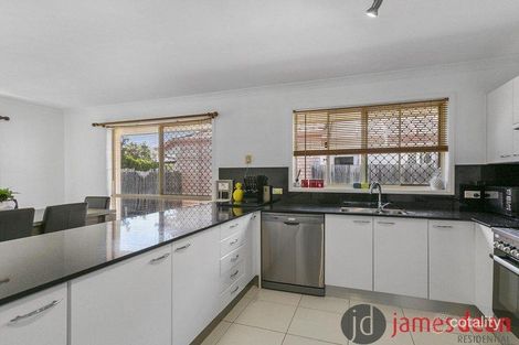 Property photo of 31 Macleay Crescent Tingalpa QLD 4173