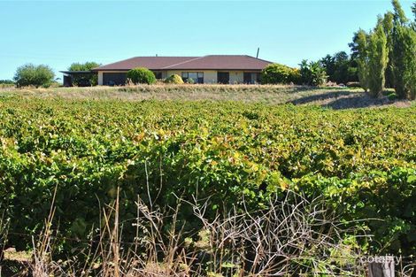 Property photo of LOT 1 Seppeltsfield Road Nuriootpa SA 5355