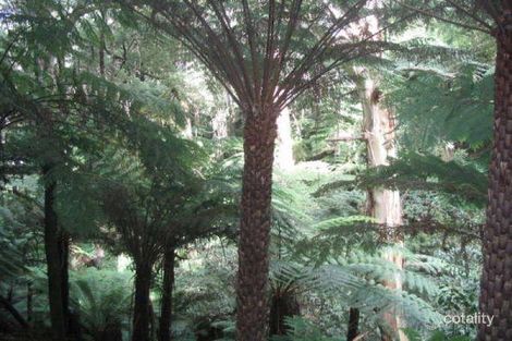 Property photo of 735 Barham River Road Apollo Bay VIC 3233