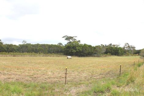 Property photo of 55 Eucalypt Way Cootharaba QLD 4565