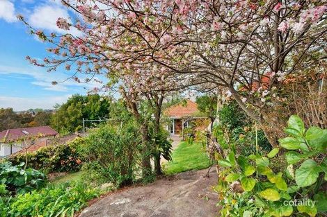 Property photo of 9 Artarmon Road Willoughby NSW 2068