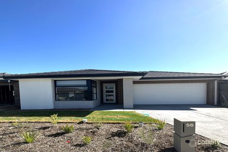 56 Karula Cct, Clyde, VIC 3978