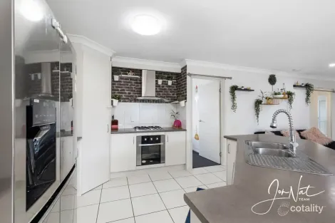 Property photo of 51 Butternut Circuit Thornlands QLD 4164