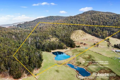 72 Hills Rd, Gray, TAS 7215