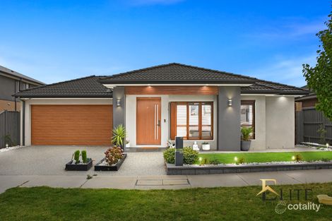 41 Fewster Cct, Mickleham, VIC 3064