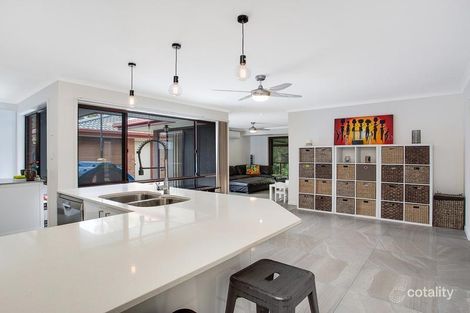 Property photo of 19 Hoban Court Nerang QLD 4211