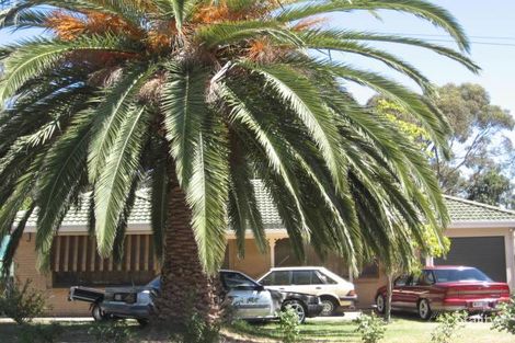 31 Steventon Dr, Banksia Park, SA 5091