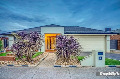 Property photo of 13 Swordgrass Avenue Tarneit VIC 3029