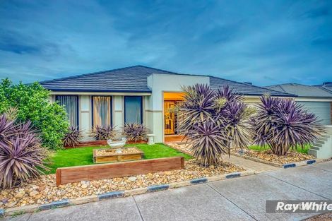 Property photo of 13 Swordgrass Avenue Tarneit VIC 3029