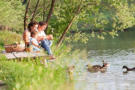 Property photo of 8 Jack Street Nambour QLD 4560