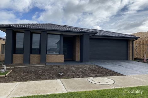 Property photo of 30 Gossia Avenue Craigieburn VIC 3064