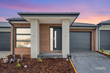 7 Carob St, Mickleham, VIC 3064