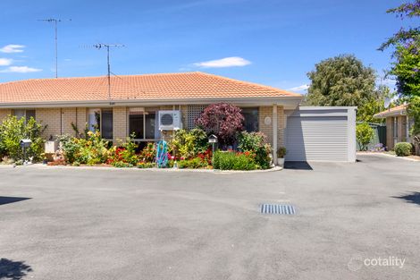 34/8 Court St, West Busselton, WA 6280