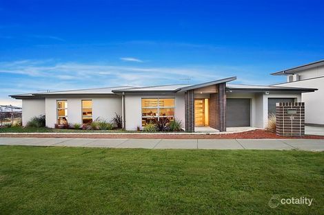 14 Buchan Cres, Forde, ACT 2914