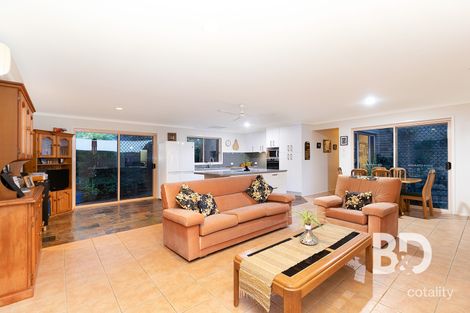 Property photo of 6 Abelia Court Narangba QLD 4504