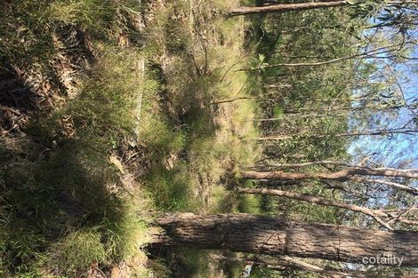 Property photo of 170 McKey Road Crossdale QLD 4312