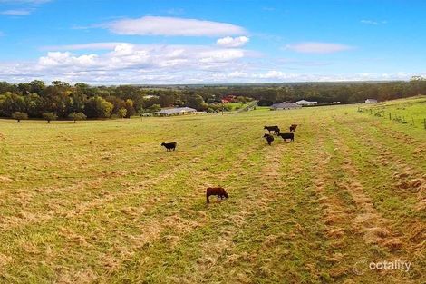 Property photo of 57 Benwerrin Crescent Grasmere NSW 2570