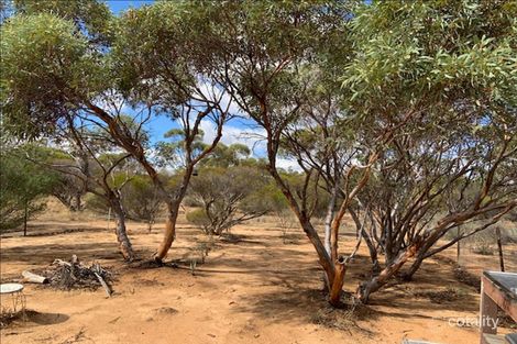 40 Bennett Rd, Nungarin, WA 6490