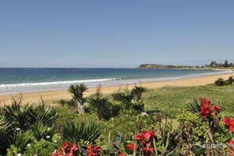 Property photo of 1140 Pittwater Road Collaroy NSW 2097