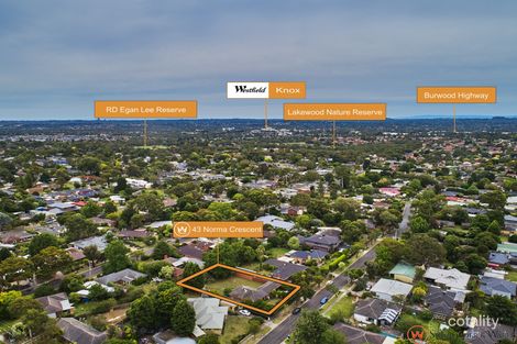 Property photo of 43 Norma Crescent Knoxfield VIC 3180