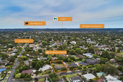 Property photo of 43 Norma Crescent Knoxfield VIC 3180