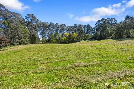 65 Lewis Rd, Hoddles Creek, VIC 3139