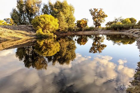 139 Duringen Rd, Cowalla, WA 6503