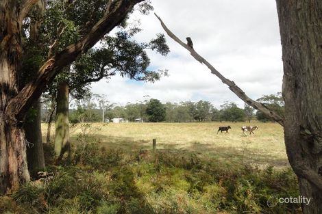 707 Tap Tap Rd, Binginwarri, VIC 3966