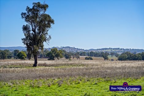 178 Wykes Lane, Walmer, NSW 2820