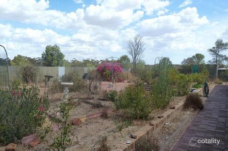 Property photo of 54 Schulze Road Warramboo SA 5650