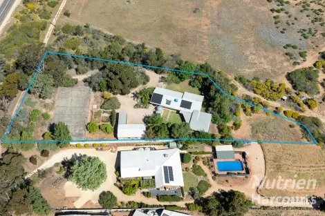 Property photo of 63 Murtho Road Paringa SA 5340