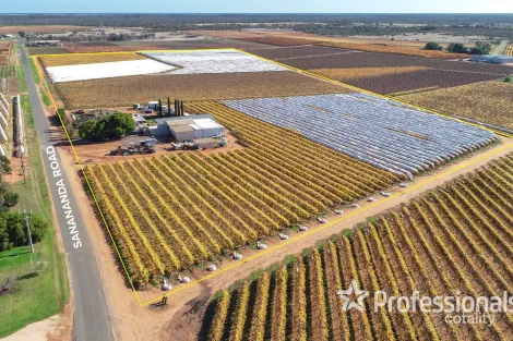 110 Sanananda Rd, Robinvale, VIC 3549