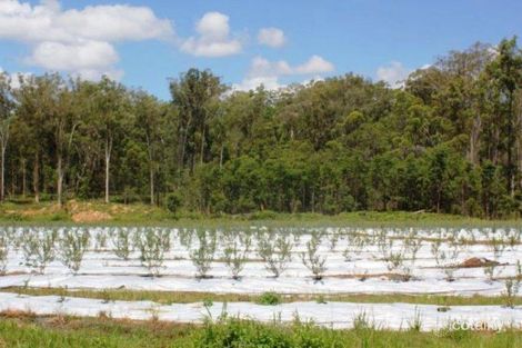 653 Parker Rd, Wells Crossing, NSW 2460