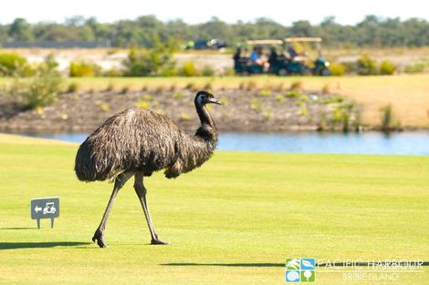 Lot 396 Corymbia Way, Banksia Beach, QLD 4507