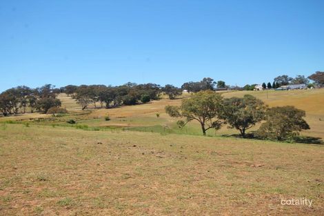 Property photo of 70 Jacksons Road Young NSW 2594