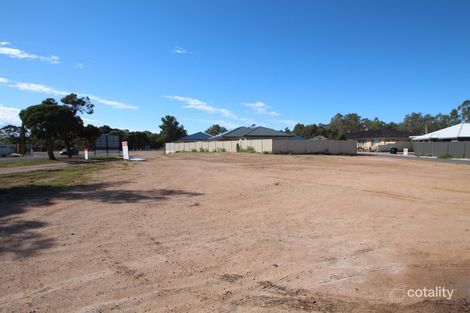 Property photo of 3 Hisgrove Road Renmark SA 5341
